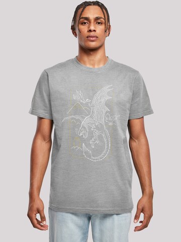 T-Shirt 'Harry Potter Dragon Line Art' F4NT4STIC en gris : devant
