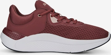 PUMA Sportschuh 'Softride Pro' in Lila