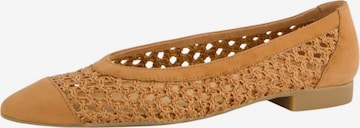 Paul GreenBalerinke - smeđa boja: prednji dio