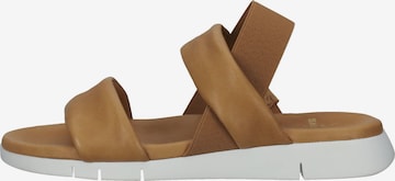 SANSIBAR Sandals in Brown