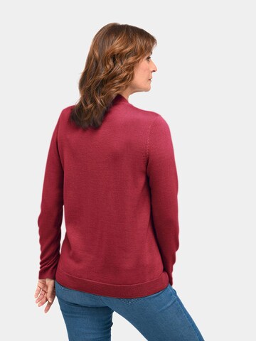 Goldner Pullover in Rot