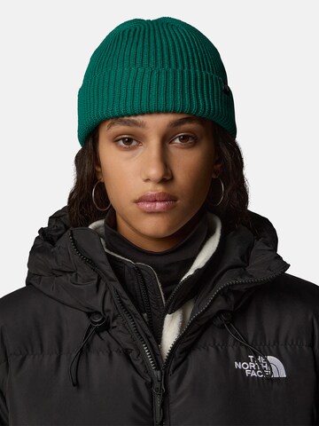 Berretto di THE NORTH FACE in blu: frontale