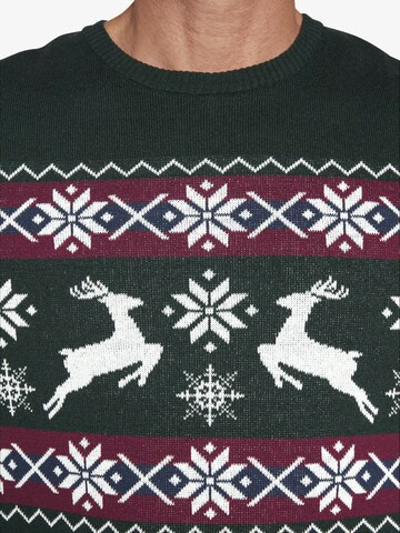 Jan Vanderstorm Pullover 'Tore' in Grün