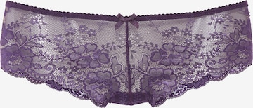 LASCANA Spodnje hlače | vijolična barva: sprednja stran