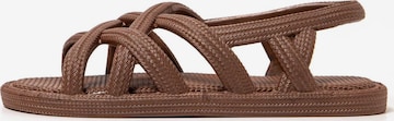 Sandales 'Ankara' Brasileras en marron : devant
