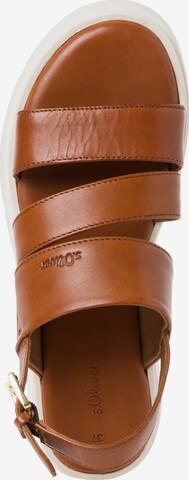 s.Oliver Sandals in Brown