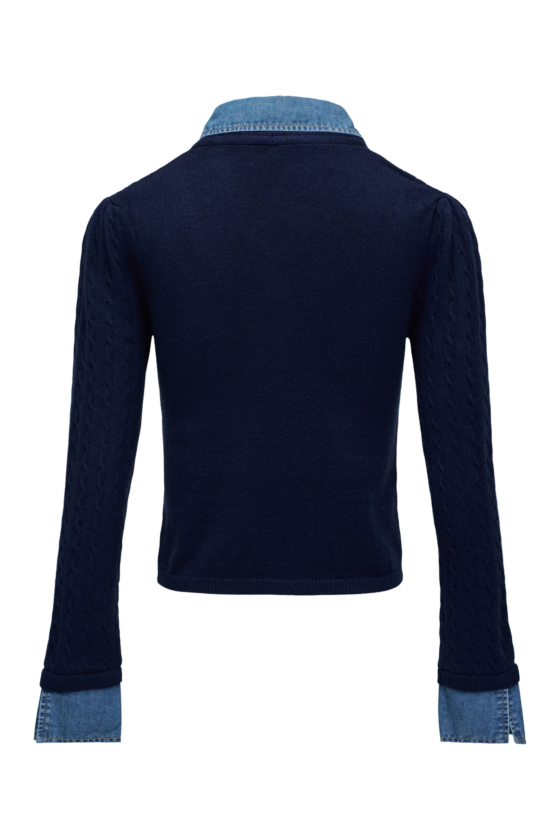 Salsa Jeans Sweater in Blue