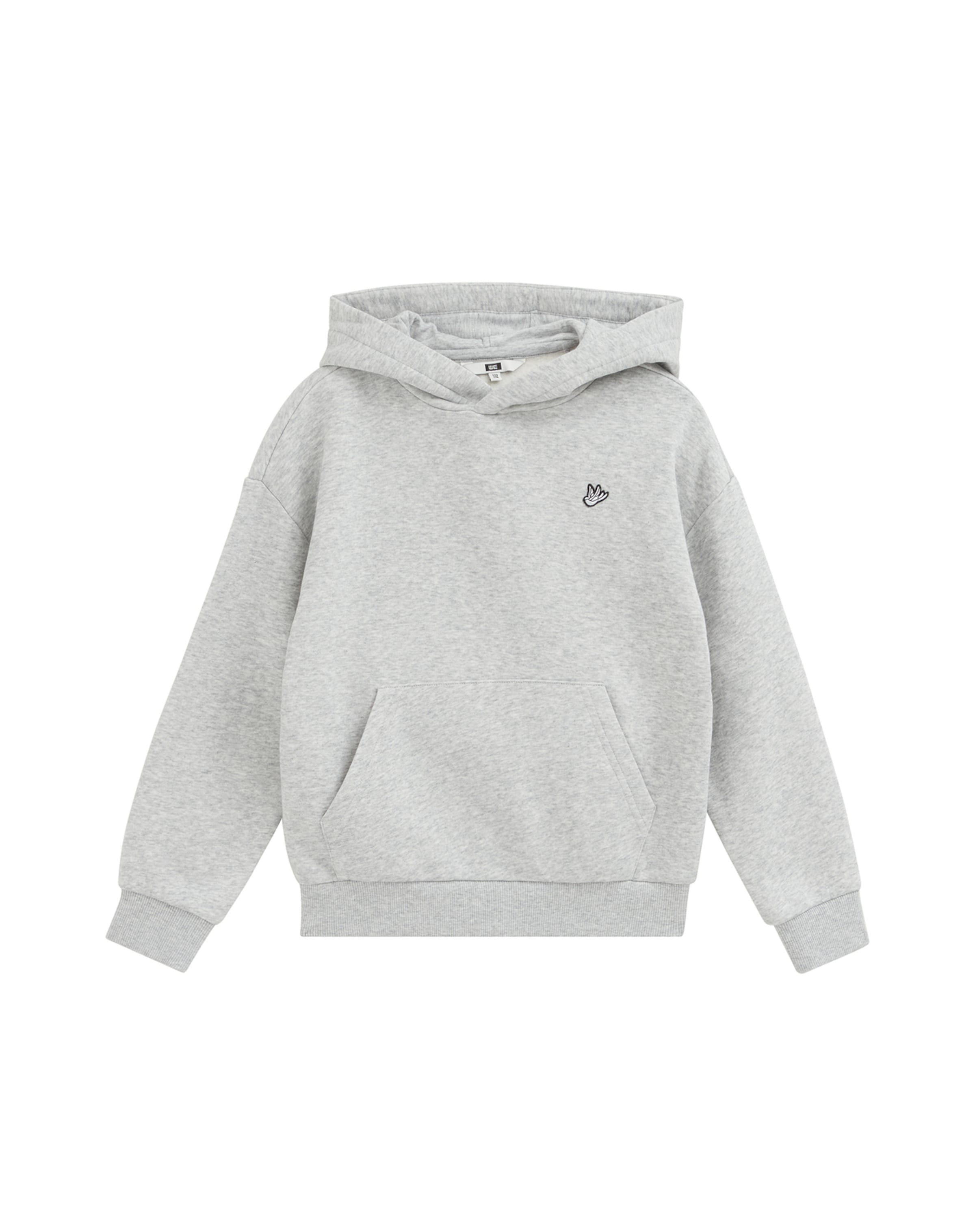 Felpa di WE Fashion in grigio: frontale