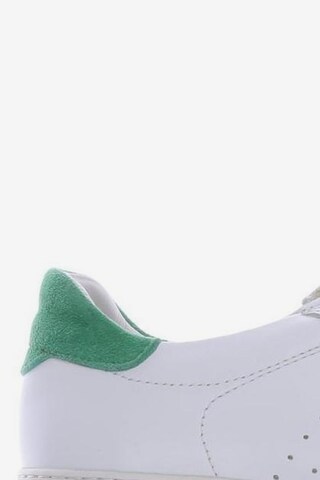 INUOVO Sneakers & Trainers in 38 in White