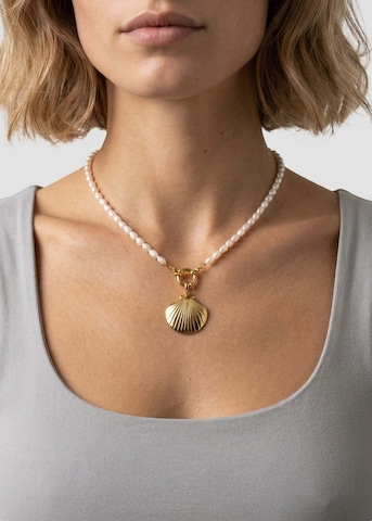 PURELEI Anhänger 'Seashell' in Gold
