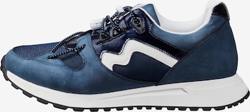 SHEEGO Sneakers in Blue: front