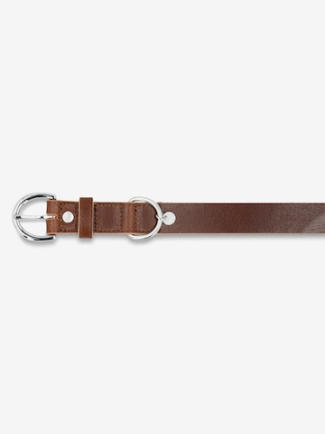 Picard Pet accessories 'Strolch' in Brown