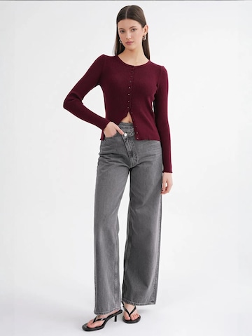 MixRay Knit Cardigan in Red
