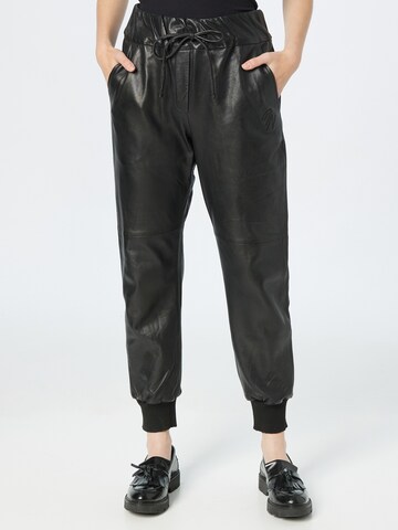 FREAKY NATION Tapered Pants in Black: front