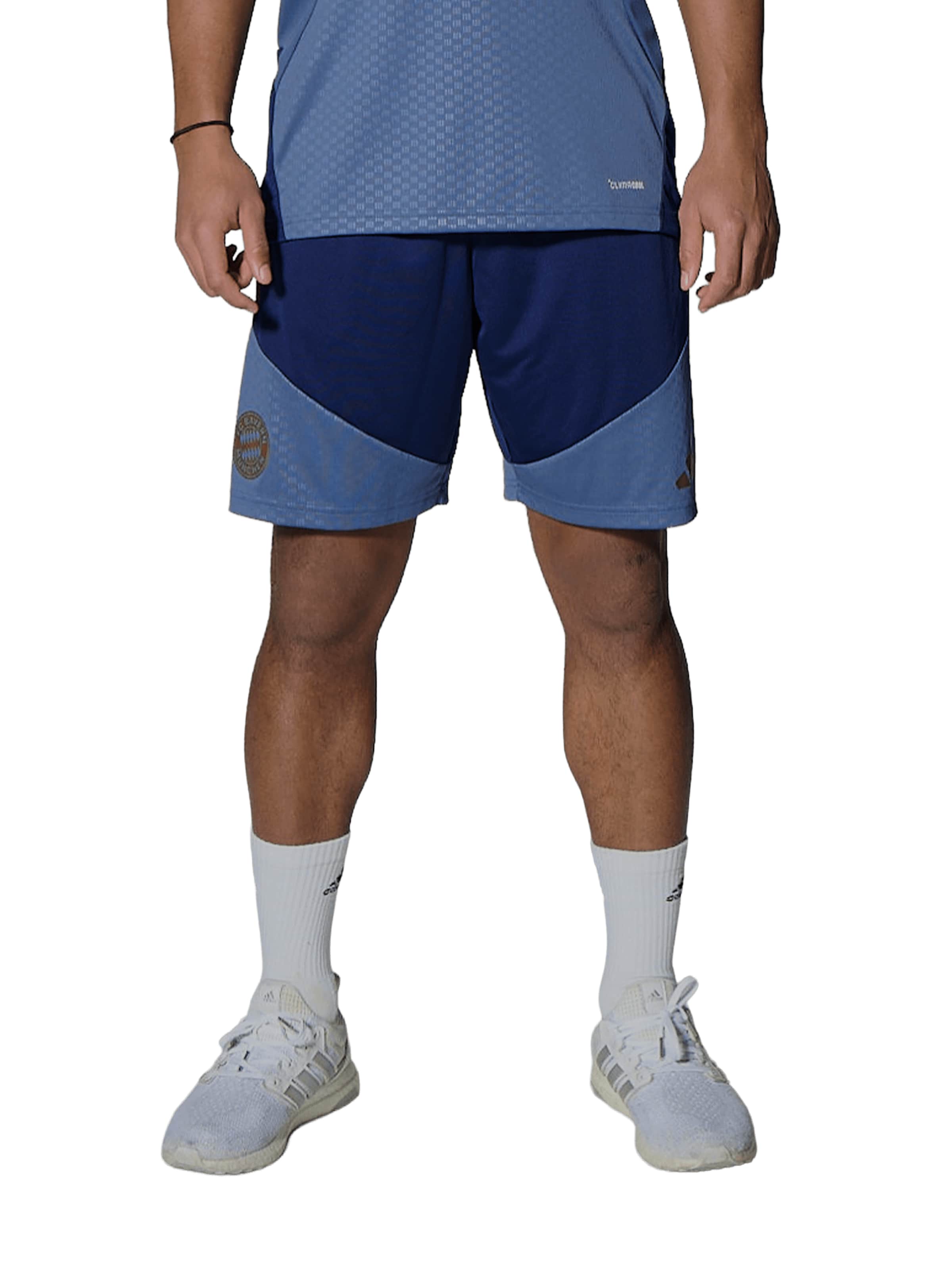 ADIDAS PERFORMANCE Regular Workout Pants in Blue: front