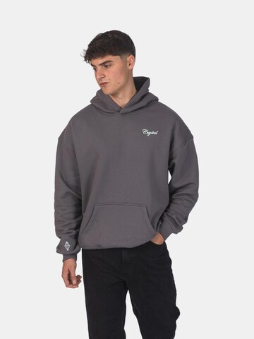 Crystal Paris Sweatshirt 'Laville' in Grey