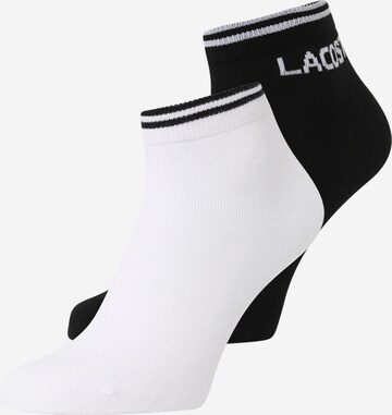 LACOSTE Ponožky – černá: přední strana