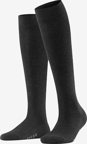 FALKE Knee High Socks 'Family' in Grey: front