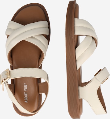 ABOUT YOU - Sandalias 'Freya' en blanco