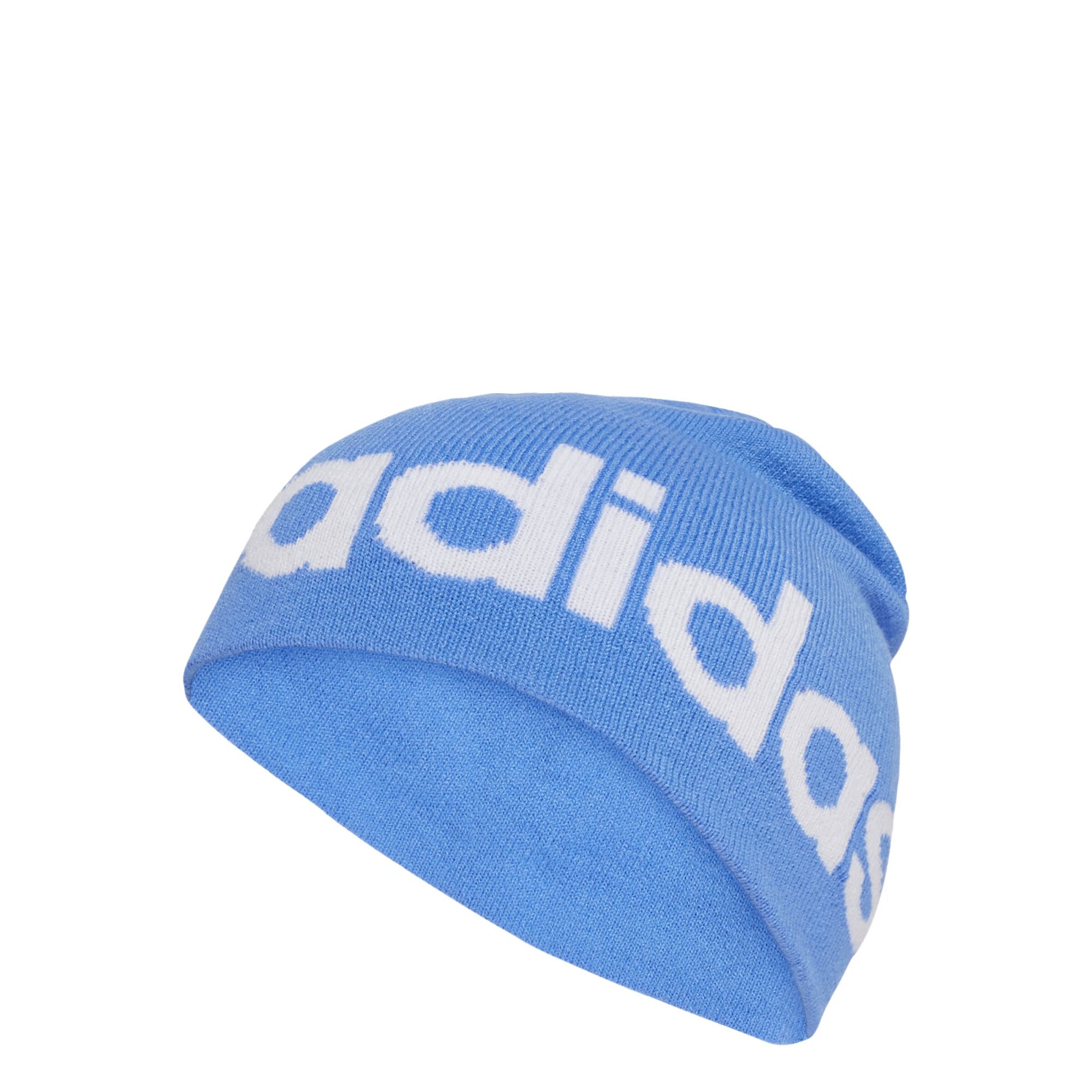 Berretto sportivo 'Daily' di ADIDAS SPORTSWEAR in blu: frontale
