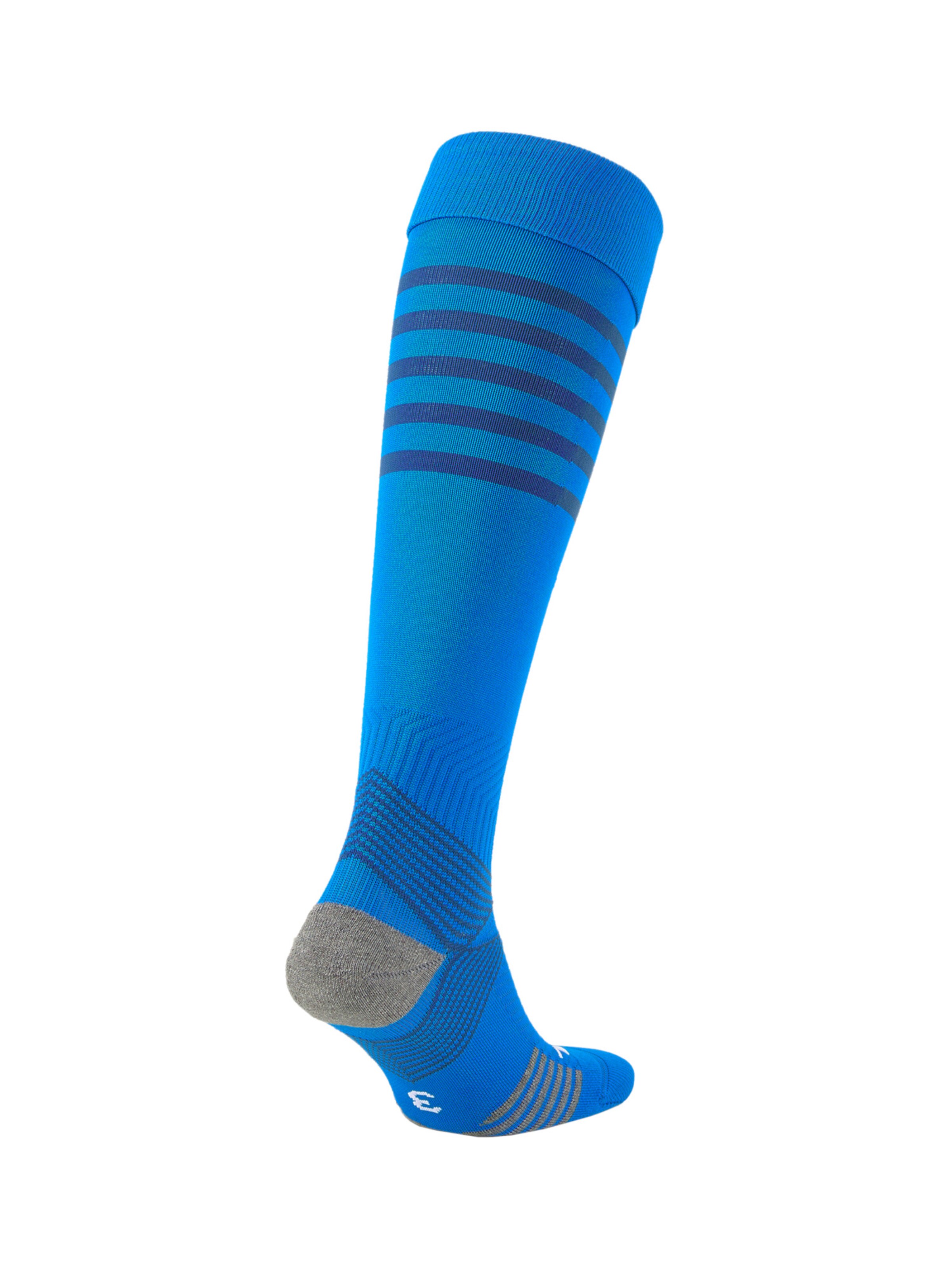 PUMA Soccer Socks in Blue