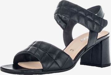 GABOR Sandalen met riem in Zwart: voorkant