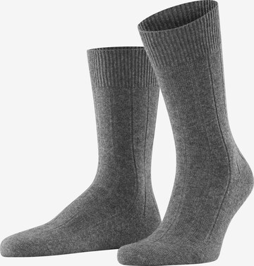 FALKE Socken 'Lhasa Rib' in Grau: Vorderseite