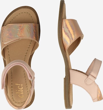 clic Sandal in Pink