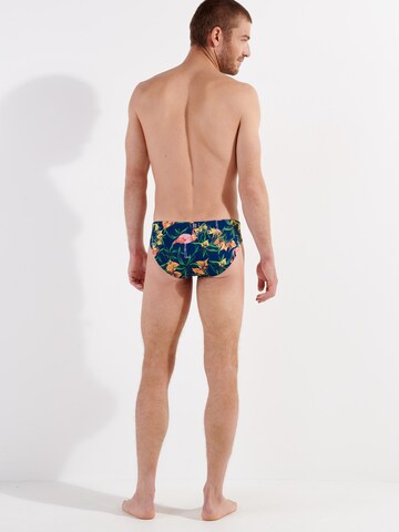 HOM Swim Trunks ' Flamingo ' in Blue