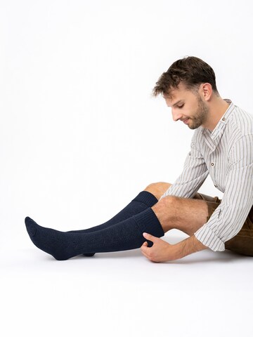 HerzSticht Trachtensocken 'Silberdistel'‌‌‌‌‌‌‌‌‌‌ in Grau