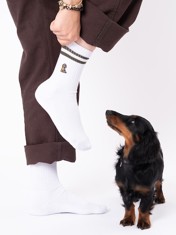 Occulto Sports socks 'Rio' in Brown