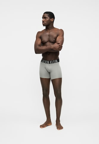 Calvin Klein Underwear Normalny krój Bokserki 'Intense Power' w kolorze szary
