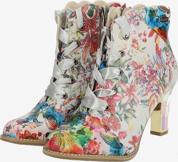 Laura Vita Ankle Boots in Mixed colors