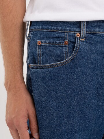 REPLAY Regular Jeans in Blue