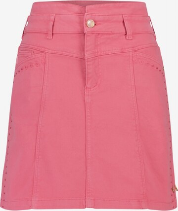 Fabienne Chapot Skirt 'Tati ' in Pink: front