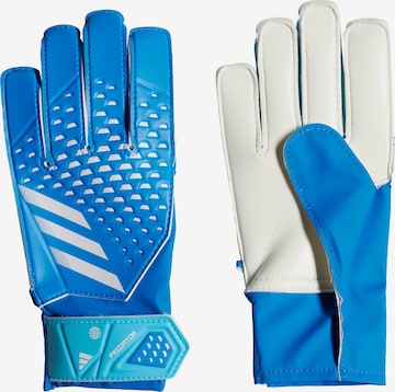 Gants de sport 'Predator' ADIDAS PERFORMANCE en bleu : devant