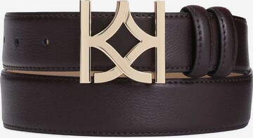 Kazar Belt in Brown: front