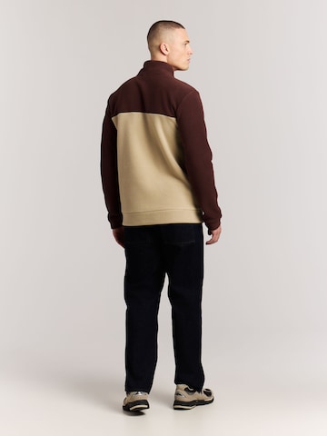 Sweat de sport 'PRTWigland' PROTEST en marron