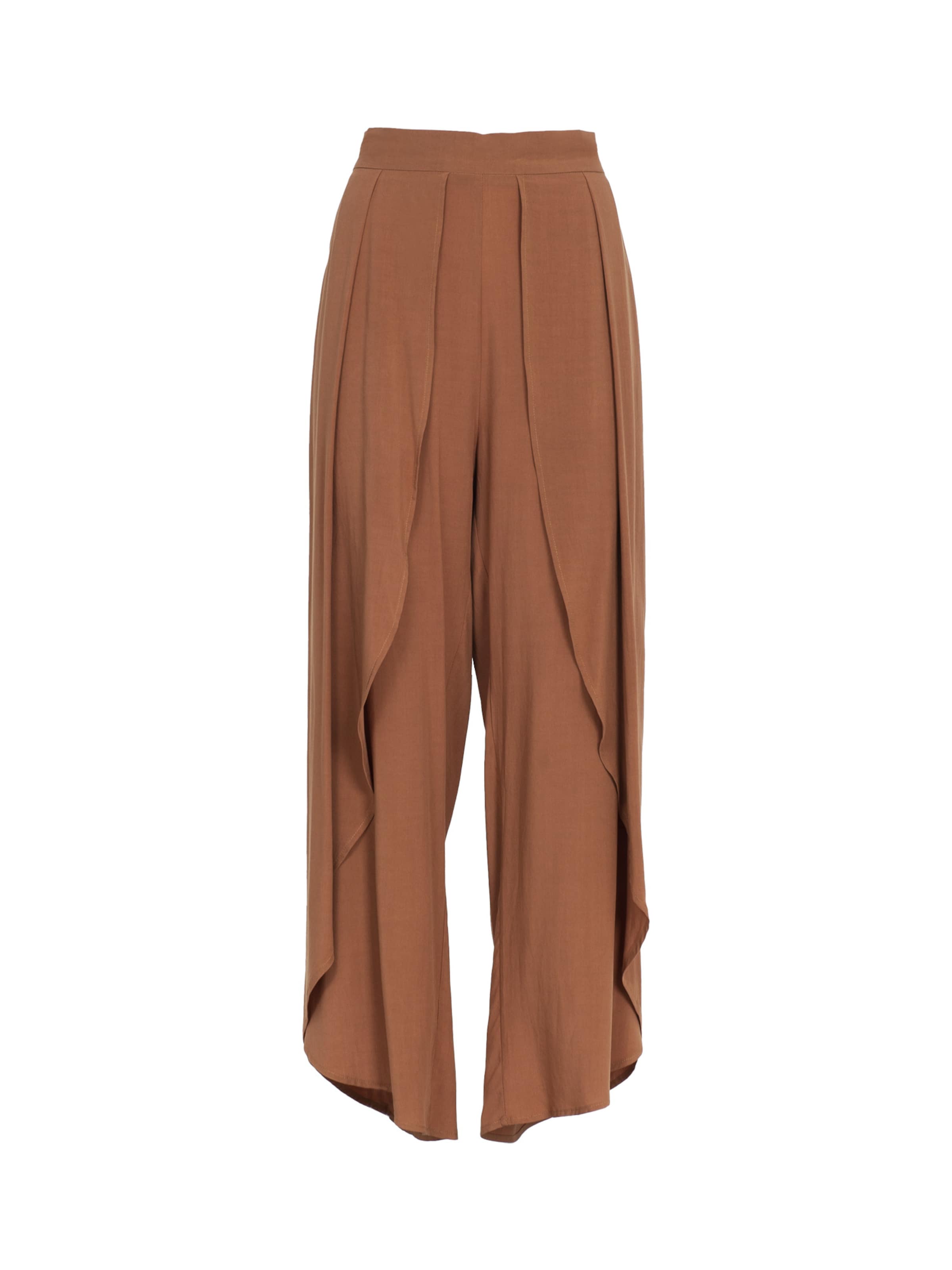 Influencer Плиссированные брюки в Коричневый: спереди