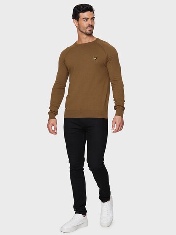 Threadbare Sweater 'Maned' in Brown