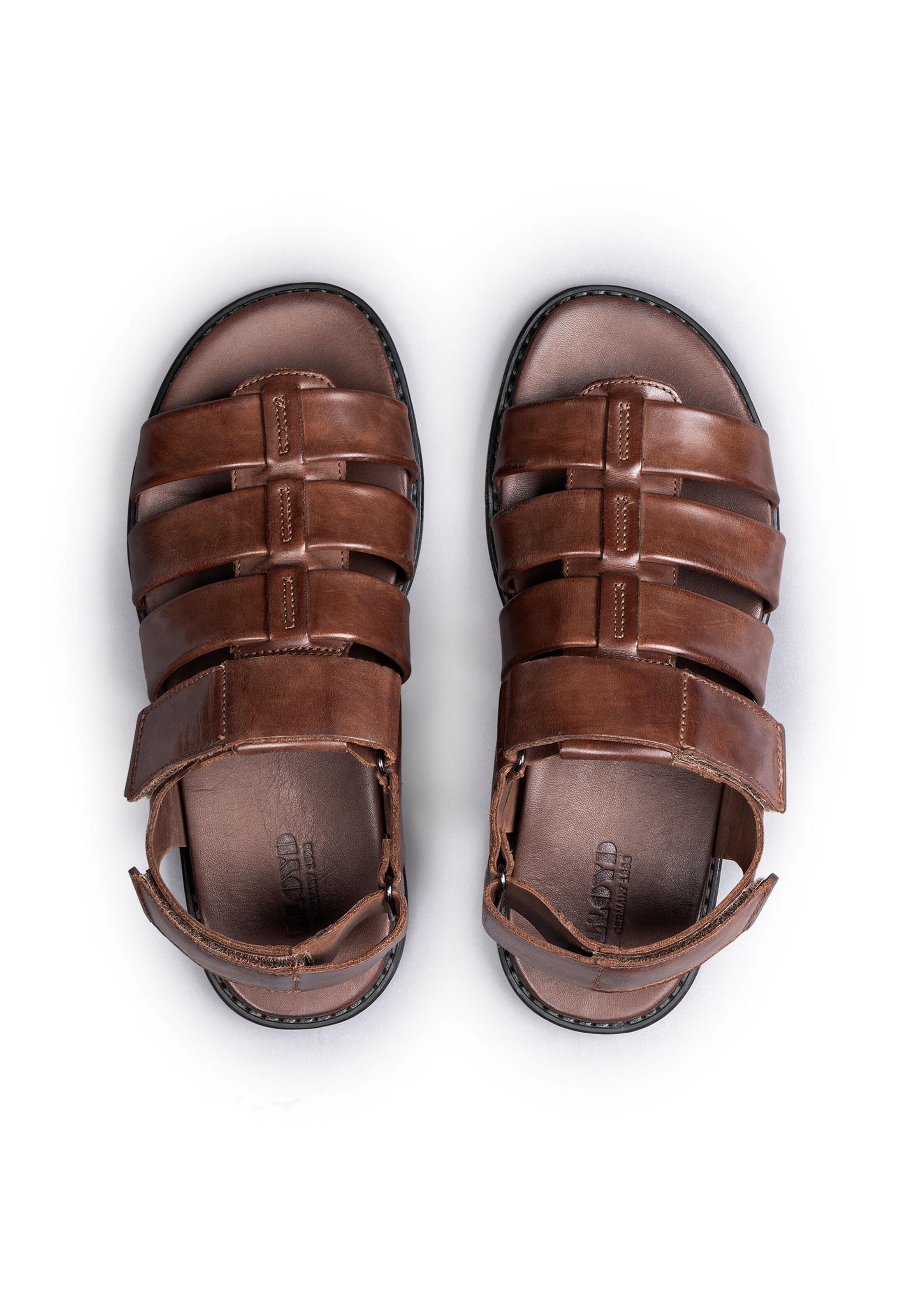 Sandales 'Emory' LLOYD en marron