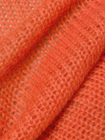 Ipuri Trui in Oranje
