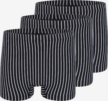 SCHIESSER Boxer shorts '95/5 Essentials Organic Cotton' in Black: front