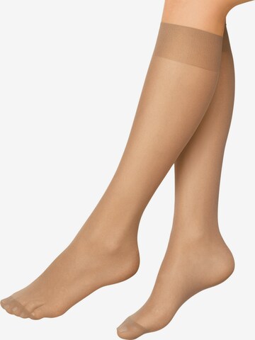 Chaussettes montantes ' 30 DEN ' Nur Die en bronze : devant