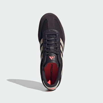 ADIDAS PERFORMANCE Fußballschuh 'Predator Freestyle' in Braun