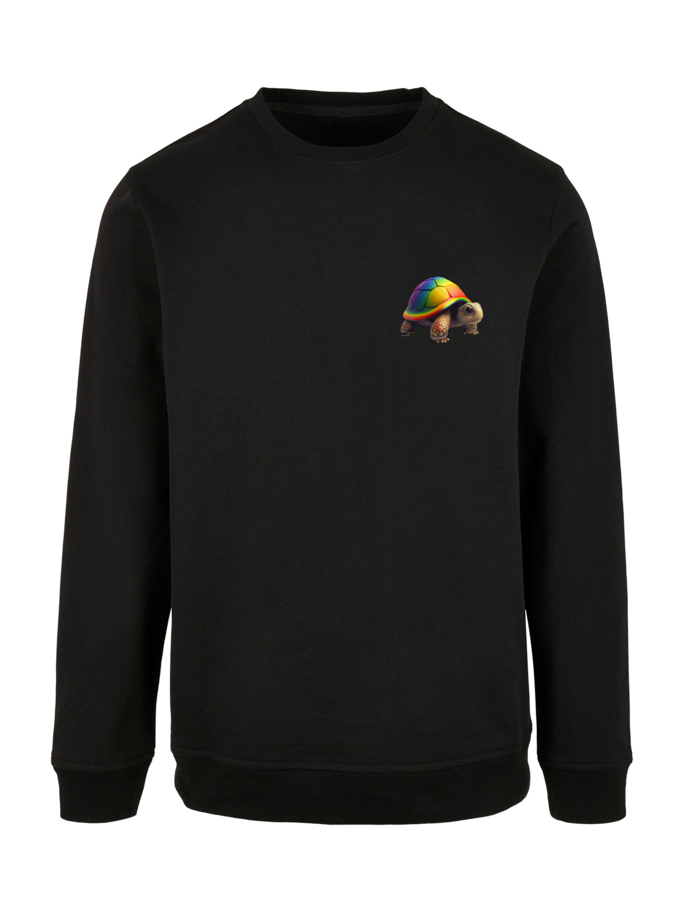 F4NT4STIC Sweatshirt in Schwarz: Vorderseite