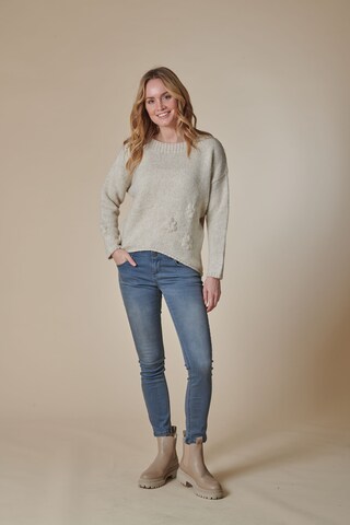 Zhrill Sweater in Grey