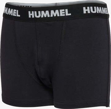 Hummel Underpants 'Nolan' in Blue