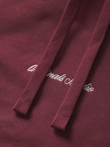 JACK & JONES - Sudadera en lila