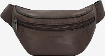 Liebeskind Berlin Gürteltasche 'Chudy' in Braun: Vorderseite
